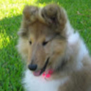 Meet your Posher, Patricia